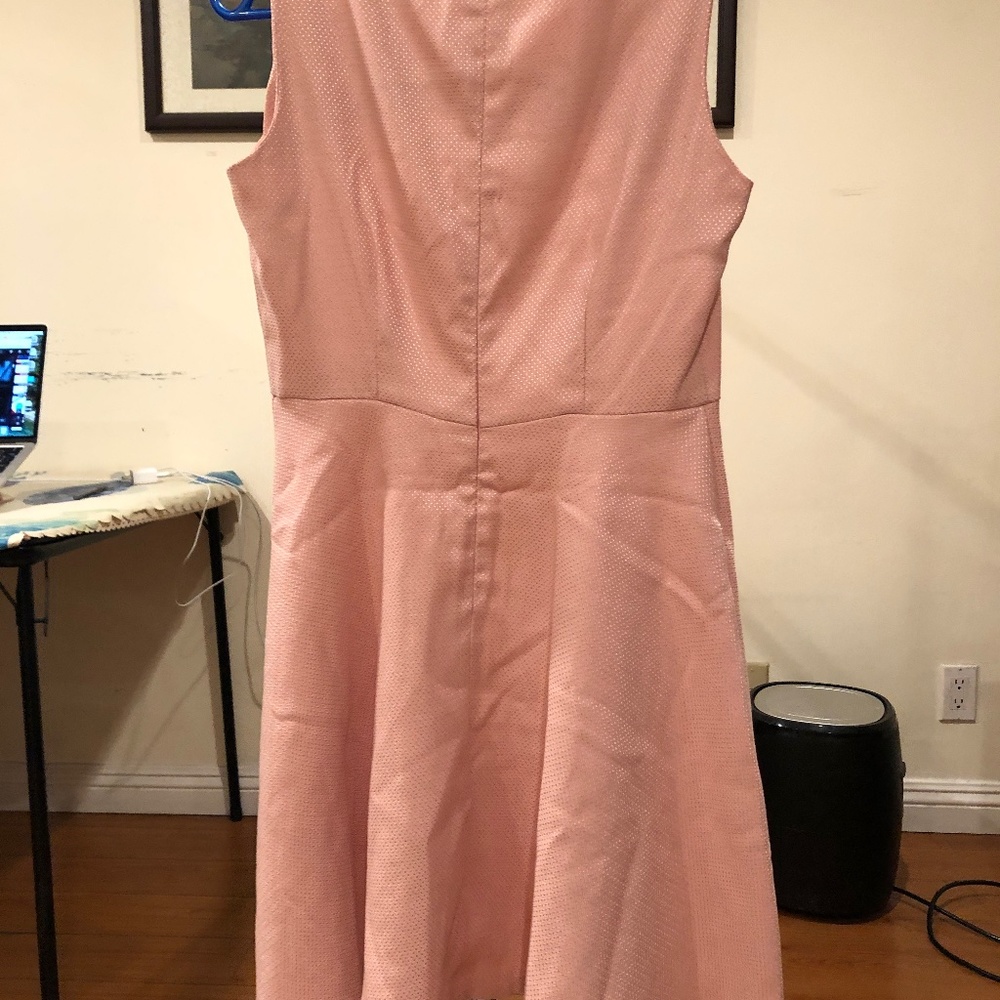 Pink Dress